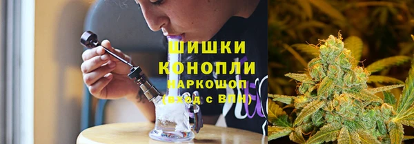 гашик Зеленокумск