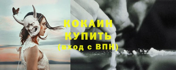 гашик Зеленокумск