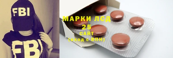 гашик Зеленокумск