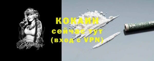 гашик Зеленокумск