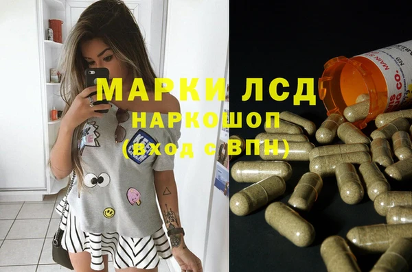 гашик Зеленокумск
