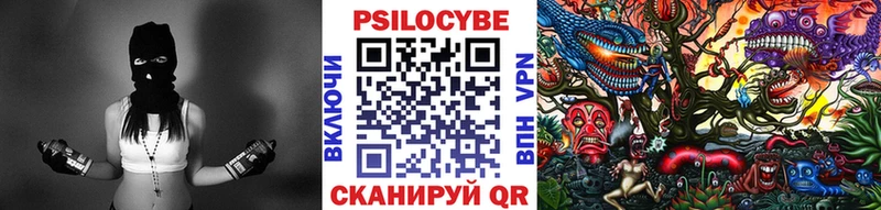 наркотики  Сортавала  Псилоцибиновые грибы мицелий 