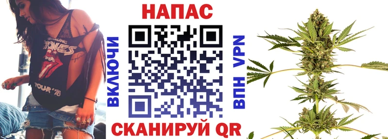 Марихуана сатива  Сортавала 